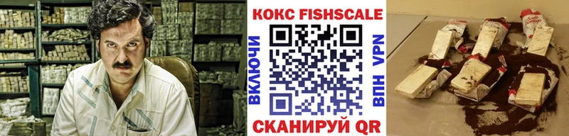 COCAIN Эквадор МЕГА ссылка Заводоуковск