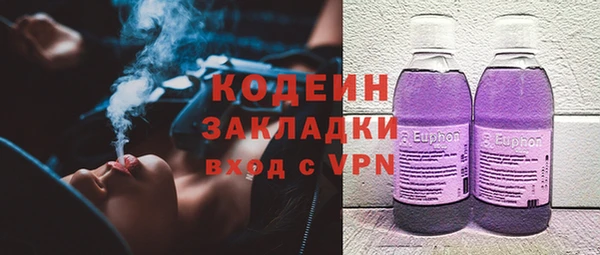 шишки Гатчина
