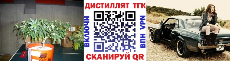 как найти наркотики Заводоуковск Дистиллят ТГК концентрат