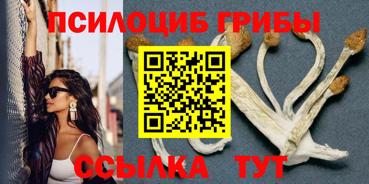Галлюциногенные грибы ЛСД  Вход с VPN  Галлюциногенные грибы мицелий  Заводоуковск 